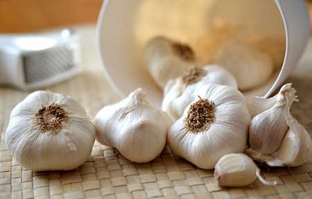 آشنایی با مسکن های گیاهی در طب سنتی آشنایی با مسکن های گیاهی در طب سنتی